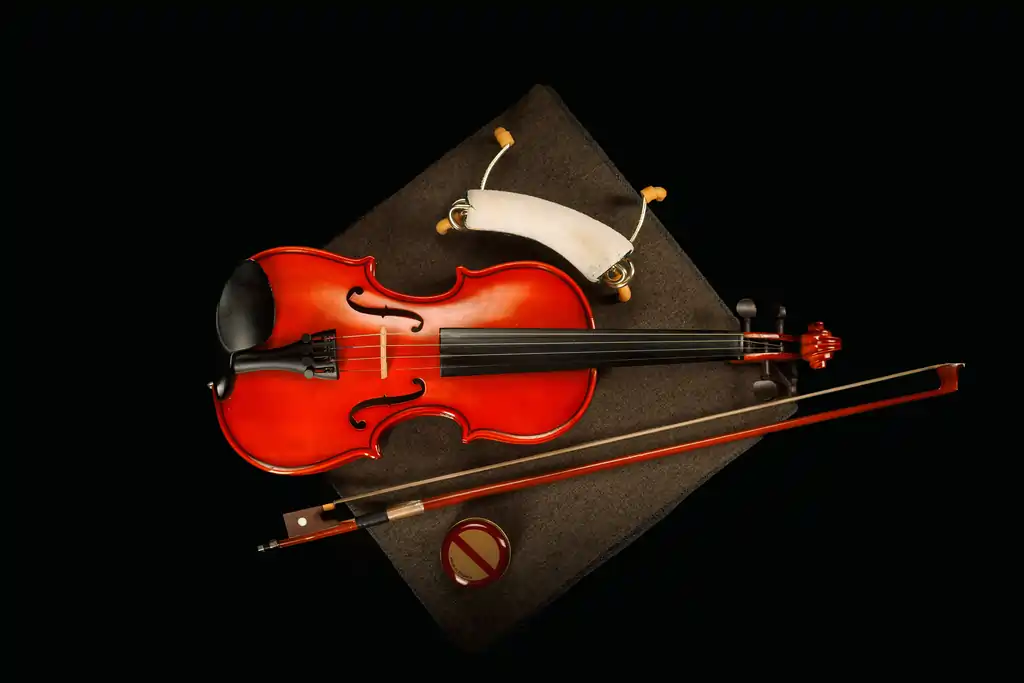 violin-its-special-box-with-its-bow-black